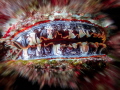   Thorny Oysters are truly beautiful invertebrates. bit blur magic around this one makes look like ad appetizing clam burger invertebrates  